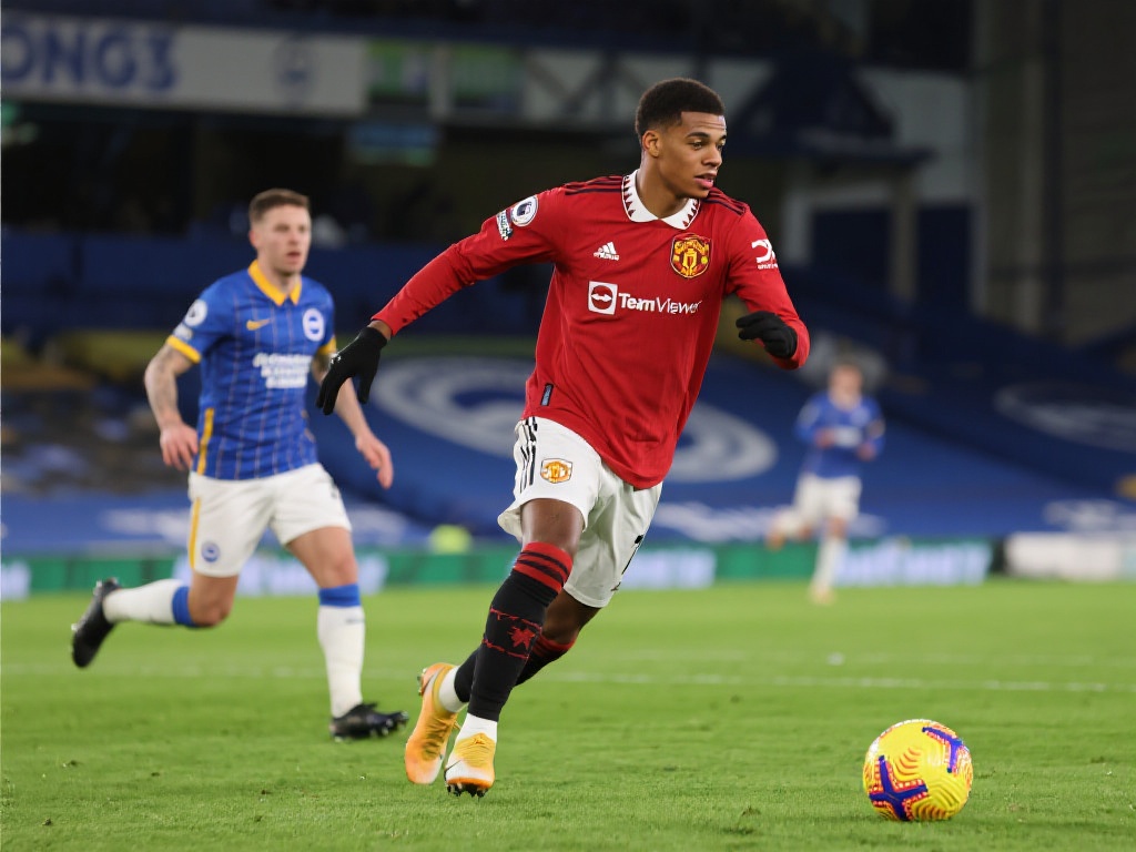 证明了自己 证明了自己